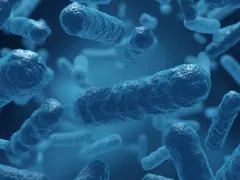 BỆNH VI KHUẨN ĂN THỊT NGƯỜI WHITMORE GÂY RA BỞI BURKHOLDERIA PSEUDOMALLEI