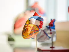 CÁC LOẠI BỆNH CAO HUYẾT ÁP