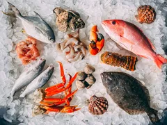 DHA, ALA VÀ EPA – 3 LOẠI OMEGA-3 QUAN TRỌNG NHẤT CÓ GÌ KHÁC NHAU?