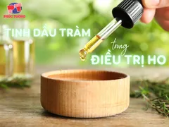 LỢI ÍCH CỦA TINH DẦU TRÀM TRONG ĐIỀU TRỊ HO