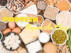 NHỮNG THỰC PHẨM CUNG CẤP PROTEIN TỐT CHO NGƯỜI ĂN CHAY