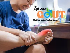 TẠI SAO GOUT THƯỜNG GẶP Ở PHÁI NAM?