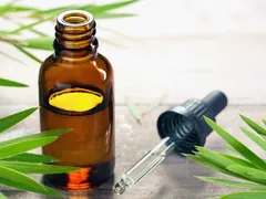 TINH DẦU TRÀM CÓ TÁC DỤNG GÌ TRONG VIỆC KHÁNG KHUẨN, CHỐNG CẢM CÚM?