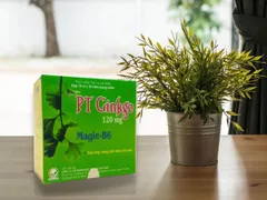 VIÊN UỐNG BỔ NÃO PT GINKGO GIÚP GIẢM CĂNG THẲNG