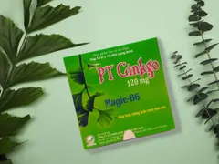 VIÊN UỐNG BỔ NÃO PT GINKGO – TĂNG CƯỜNG LƯU THÔNG MÁU NÃO