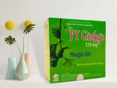 VIÊN UỐNG BỔ NÃO PT GINKGO PHÙ HỢP VỚI NHỮNG AI?