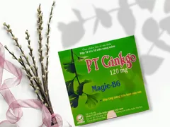VIÊN UỐNG BỔ NÃO PT GINKGO – KHÔNG CHỈ ĐƠN THUẦN LÀ GINKGO