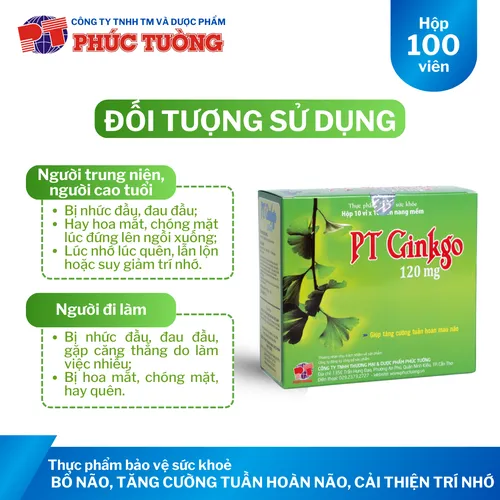 PT Ginkgo 120mg bổ não, tăng cường tuần hoàn não và cải thiện trí nhớ