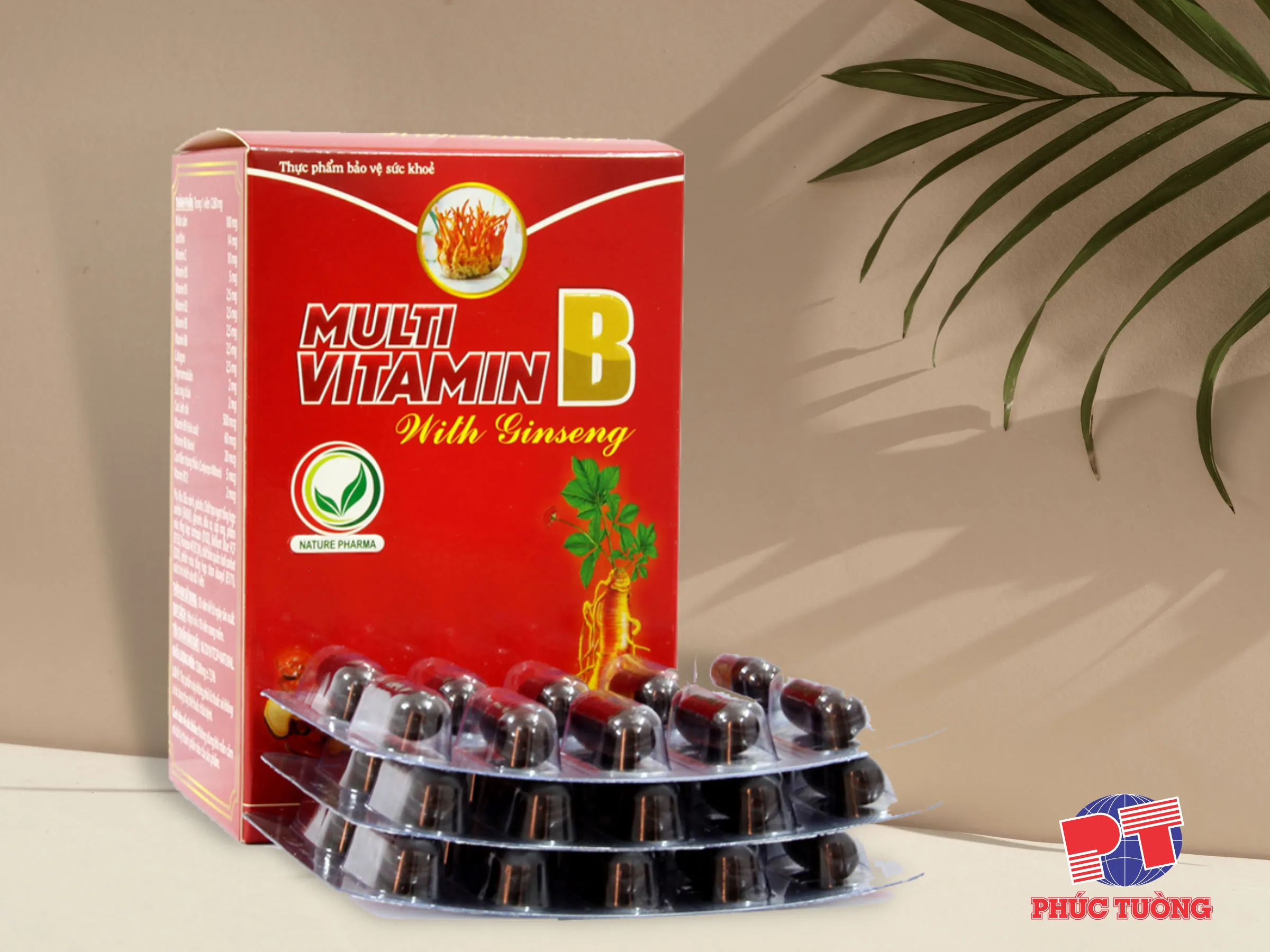 BỔ SUNG ĐẦY ĐỦ VITAMIN NHÓM B VỚI MULTI VITAMIN B WITH GINSENG (NHÂN SÂM)