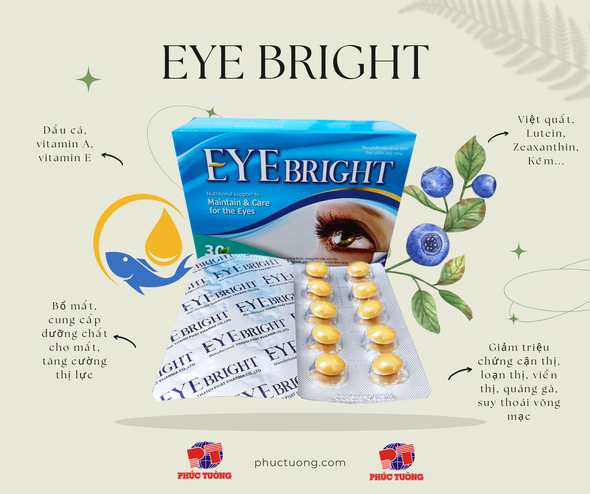 Viên uống bổ mắt EYE BRIGHT giúp cung cấp các dưỡng chất cần thiết cho mắt, bảo vệ mắt và tăng cường thị lực Viên uống bổ mắt EYE BRIGHT giúp cung cấp các dưỡng chất cần thiết cho mắt, bảo vệ mắt và tăng cường thị lực