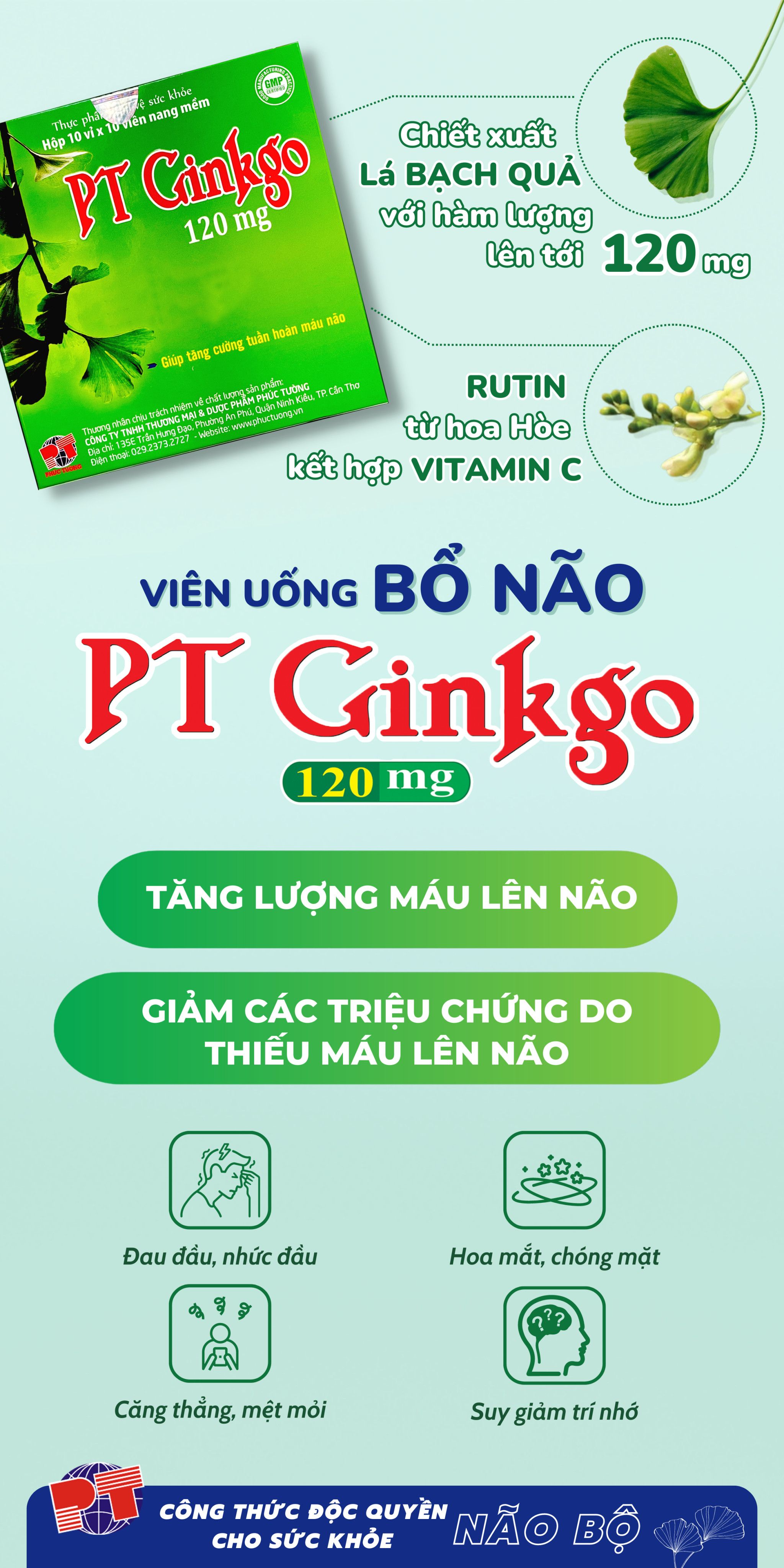 Viên uống bổ não PT Ginkgo Viên uống bổ não PT Ginkgo