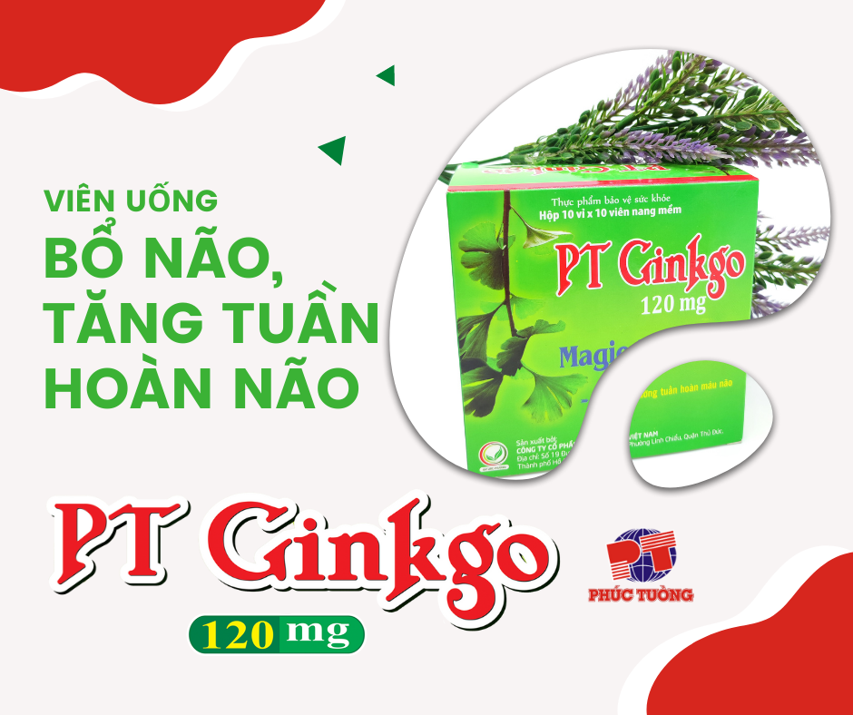 Viên uống dưỡng não PT Ginkgo 120mg - món quà 20/11 ý nghĩa Viên uống dưỡng não PT Ginkgo 120mg - món quà 20/11 ý nghĩa