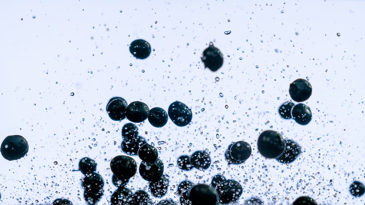 Quả việt quất được xem như loại quả có hàm lượng chất chống oxy hóa cao nhất, là thực phẩm chống lão hóa da rất tốt Quả việt quất được xem như loại quả có hàm lượng chất chống oxy hóa cao nhất, là thực phẩm chống lão hóa da rất tốt