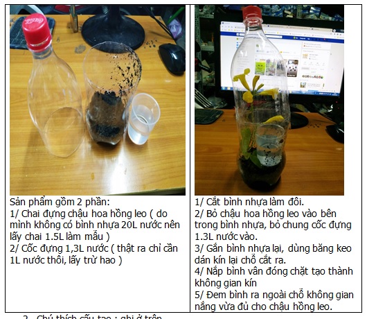 giáo dục stem giao duc stem