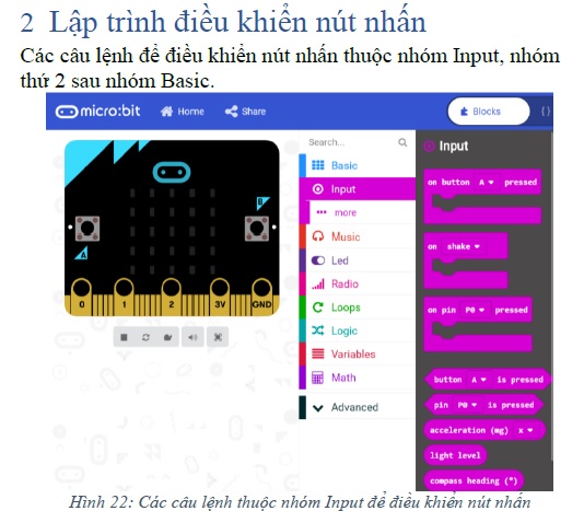 học lập trình micro:bit hoc lap trinh microbit
