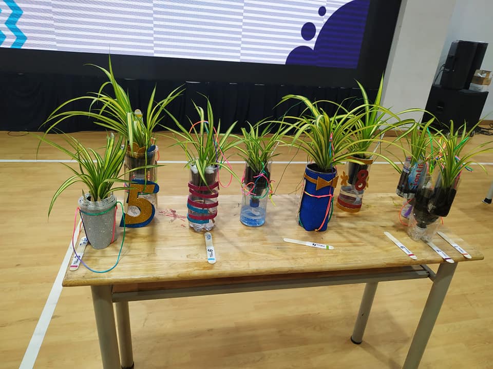 giáo án stem giao an stem