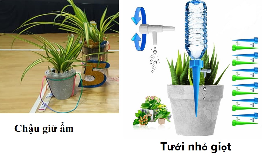 hand on STEM hand on STEM