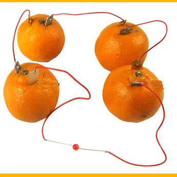 Pin điện hóa - pin quả chanh - pin trái cây - đồ chơi STEM