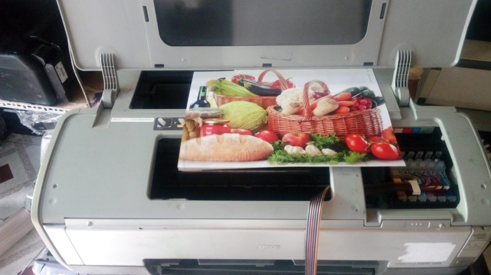 TOP máy in nhãn dán in decal khổ A3 và A4 nên mua đầu năm 2022,top may in nhan dan in decal kho a3 a4 nen mua dau nam 2022 TOP máy in nhãn dán in decal khổ A3 và A4 nên mua đầu năm 2022,top may in nhan dan in decal kho a3 a4 nen mua dau nam 2022