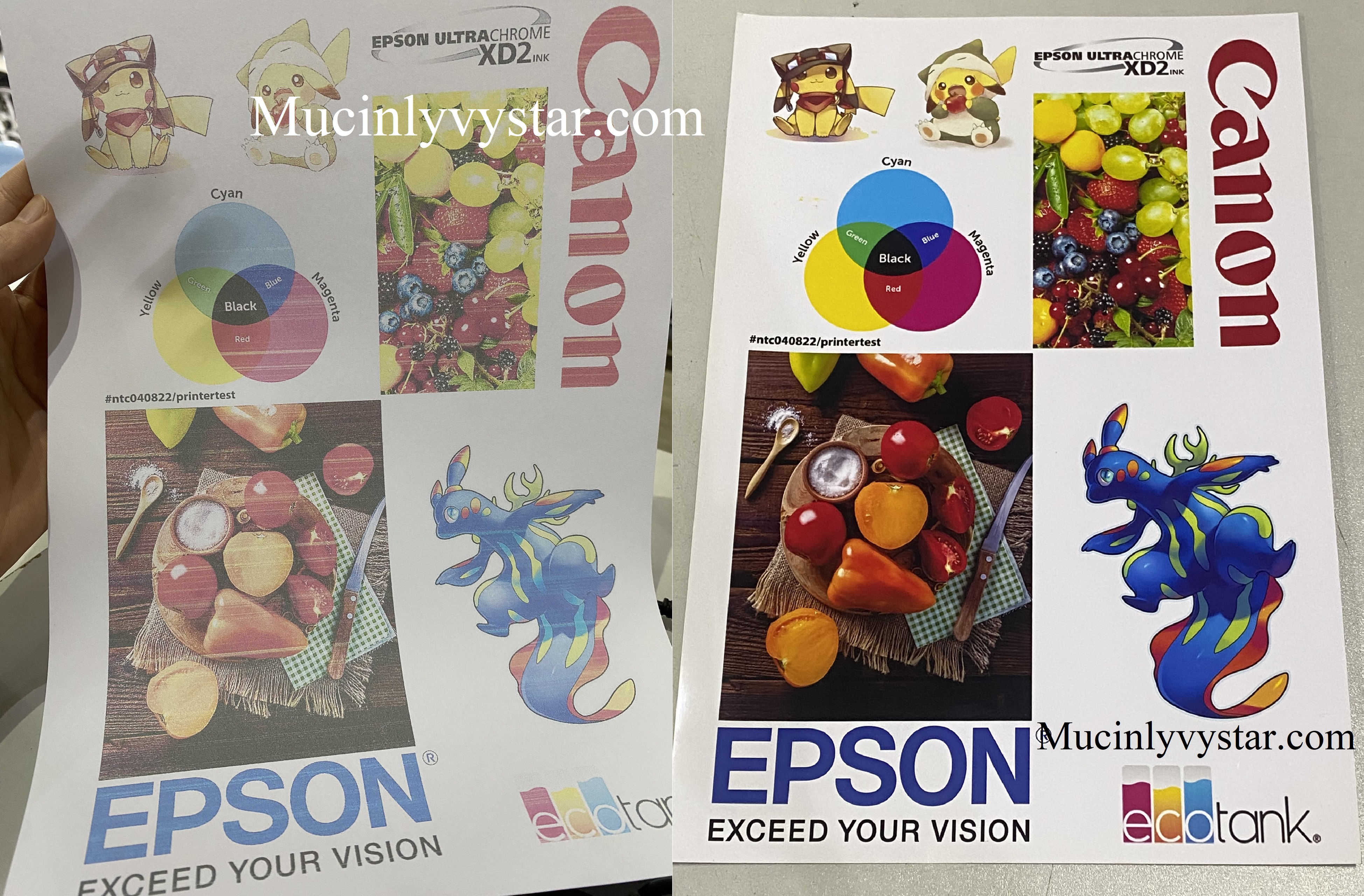 Cách ngâm đầu phun máy Epson Cách ngâm đầu phun máy Epson