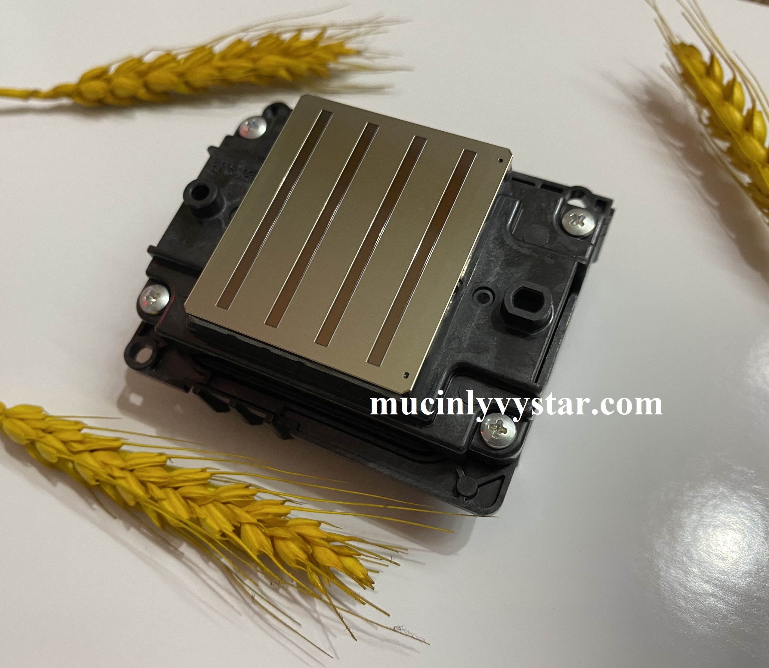 Cách phân biệt đầu phun i3200 A1, E1 và U1 Cách phân biệt đầu phun i3200 A1, E1 và U1