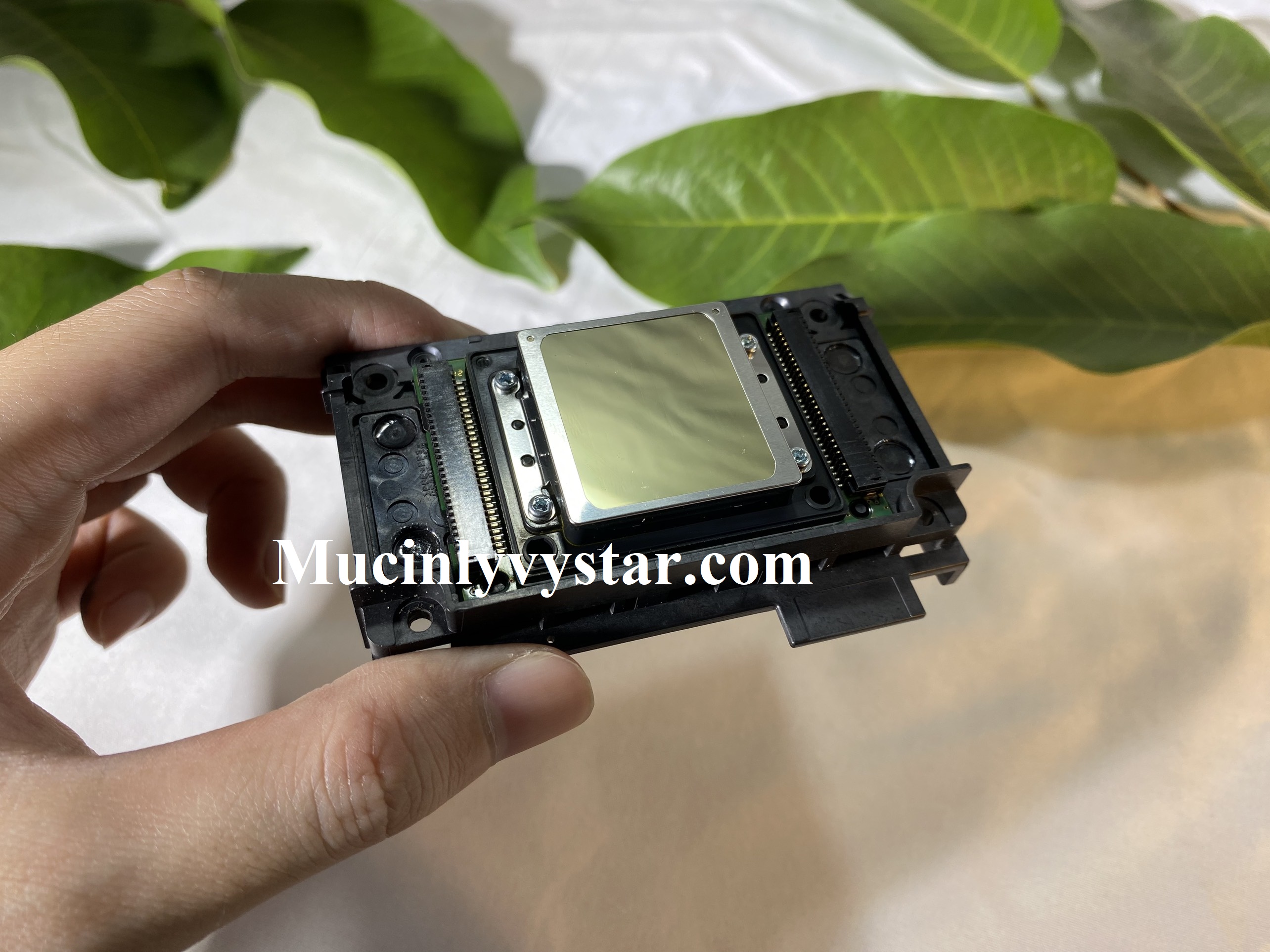 Cugn cấp đầu phun Epson DX11 Cugn cấp đầu phun Epson DX11