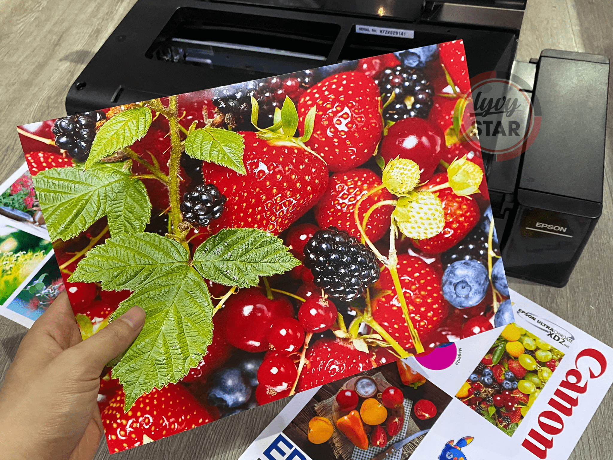 Epson L805 dùng mực Pigment giá bao nhiêu? Epson L805 dùng mực Pigment giá bao nhiêu?