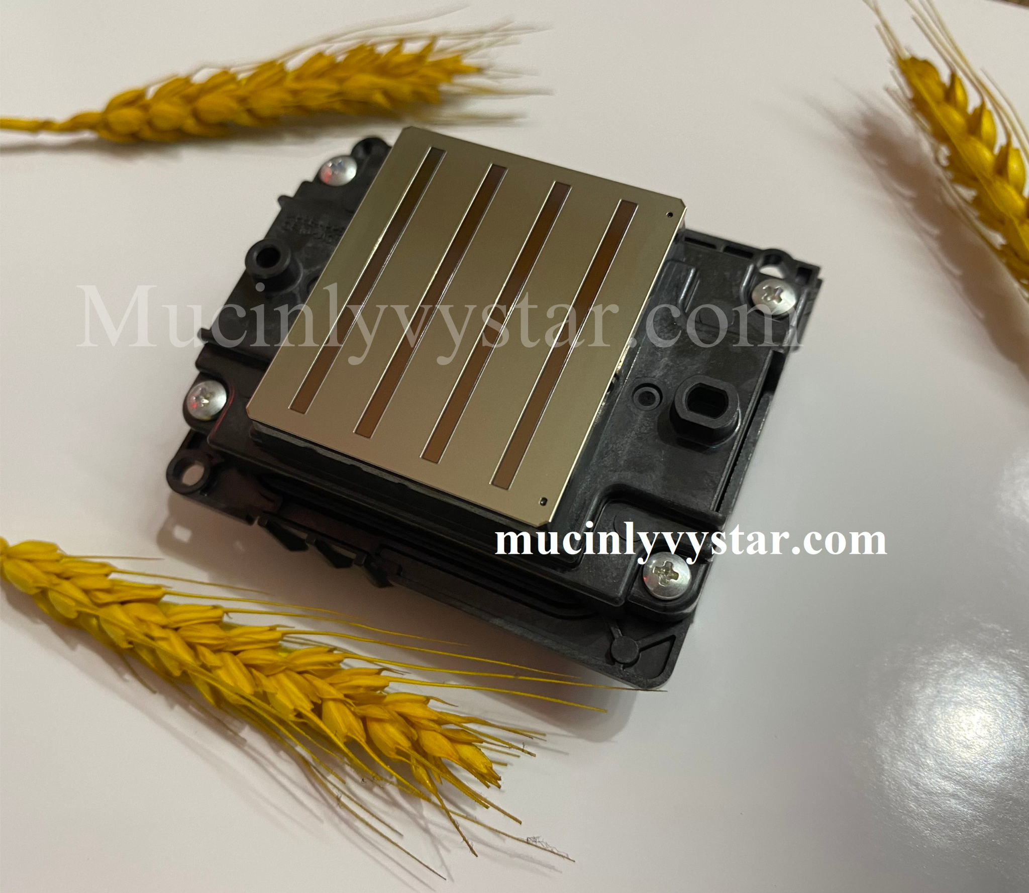 Dịch vụ chuyển đổi đầu phun i3200 sang đầu i1600 HCM,dich vu chuyen doi dau phun i3200 sang dau i1600 hcm Dịch vụ chuyển đổi đầu phun i3200 sang đầu i1600 HCM,dich vu chuyen doi dau phun i3200 sang dau i1600 hcm