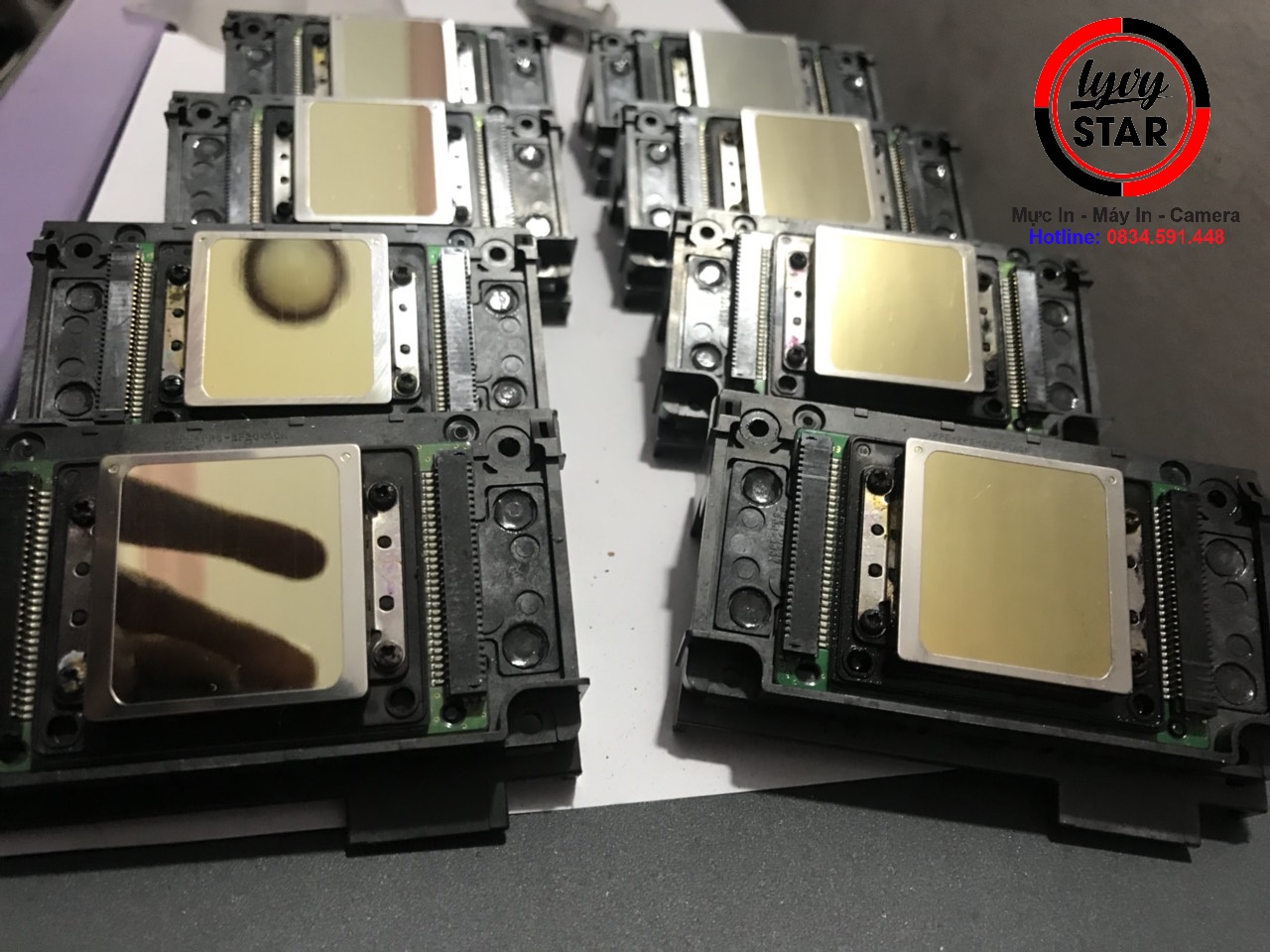 dau-xp600-tại-quảng-ngai