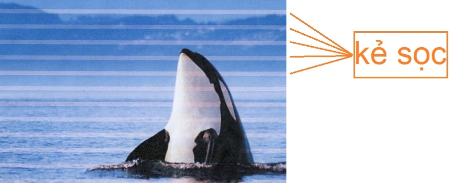 Sửa máy in màu Epson WF-7830DTWF,sua may in mau epson wf-7830dtwf Sửa máy in màu Epson WF-7830DTWF,sua may in mau epson wf-7830dtwf