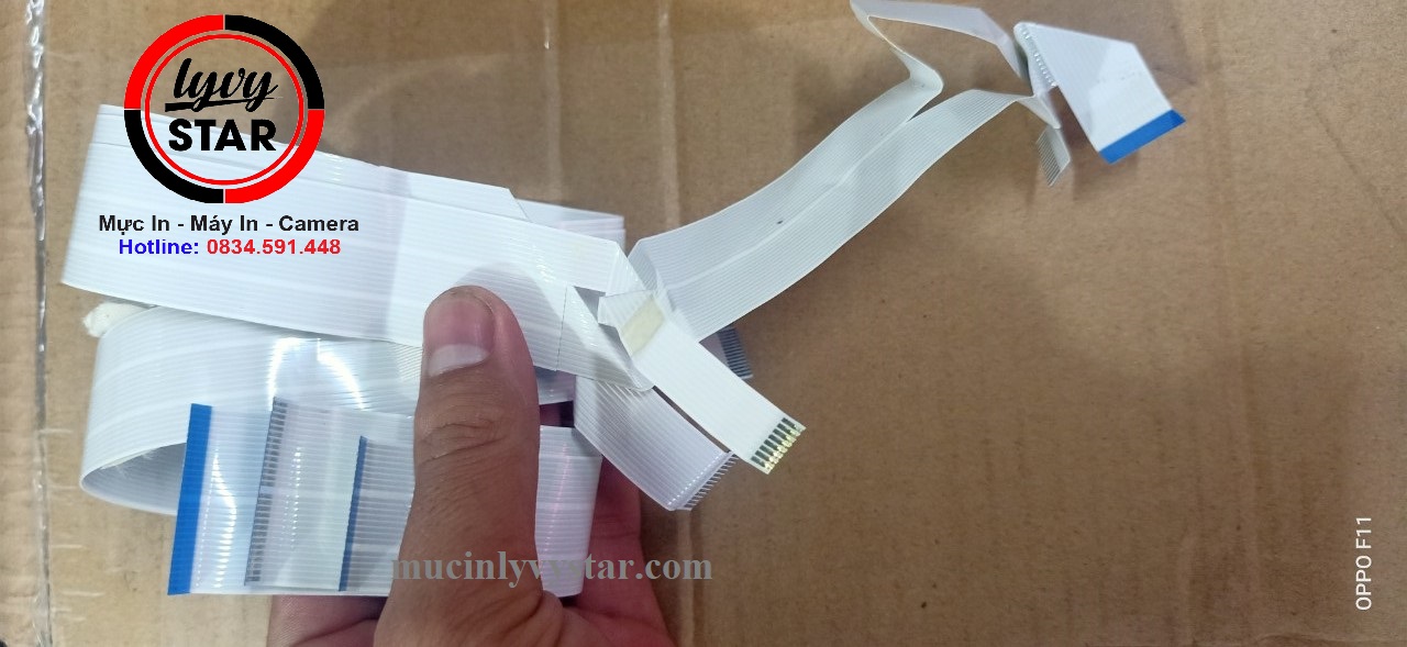 bộ caple zin đầu phun C5290