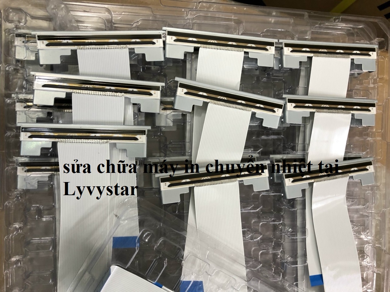 thay đầu in chuyển nhiệt tại quận 6 hcm