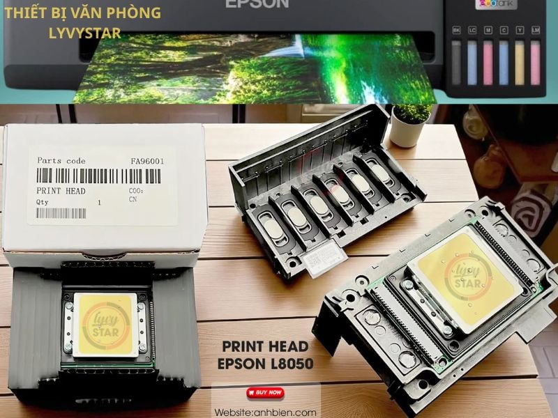 Đầu phun Epson L8050 chính hãng giá bao nhiêu Đầu phun Epson L8050 chính hãng giá bao nhiêu