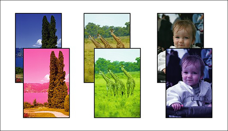 Sửa máy in Epson Ecotank L8050 uy tín tại HCM,sua may in epson ecotank l8050 uy tin tai hcm,sua may in epson ecotank l8050 in bi ket giay,sua may in epson ecotank l8050 in bi sai mau,thay dau phun may in epson ecotank l8050 tai hcm Sửa máy in Epson Ecotank L8050 uy tín tại HCM,sua may in epson ecotank l8050 uy tin tai hcm,sua may in epson ecotank l8050 in bi ket giay,sua may in epson ecotank l8050 in bi sai mau,thay dau phun may in epson ecotank l8050 tai hcm