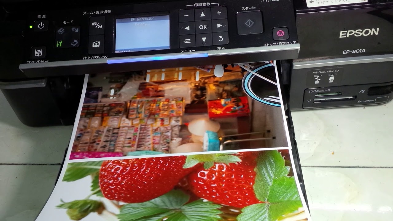 may-in-mau-cho-dan-thiet-ke may-in-mau-cho-dan-thiet-ke