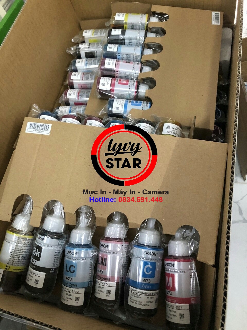 chuyên cung câp mưc màu Epson L805 model 673