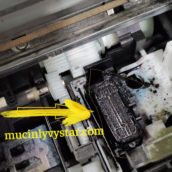 Những dòng '' L " máy in Epson thường xuyên bị nghẹt đầu phun do đâu ? Những dòng '' L " máy in Epson thường xuyên bị nghẹt đầu phun do đâu ?