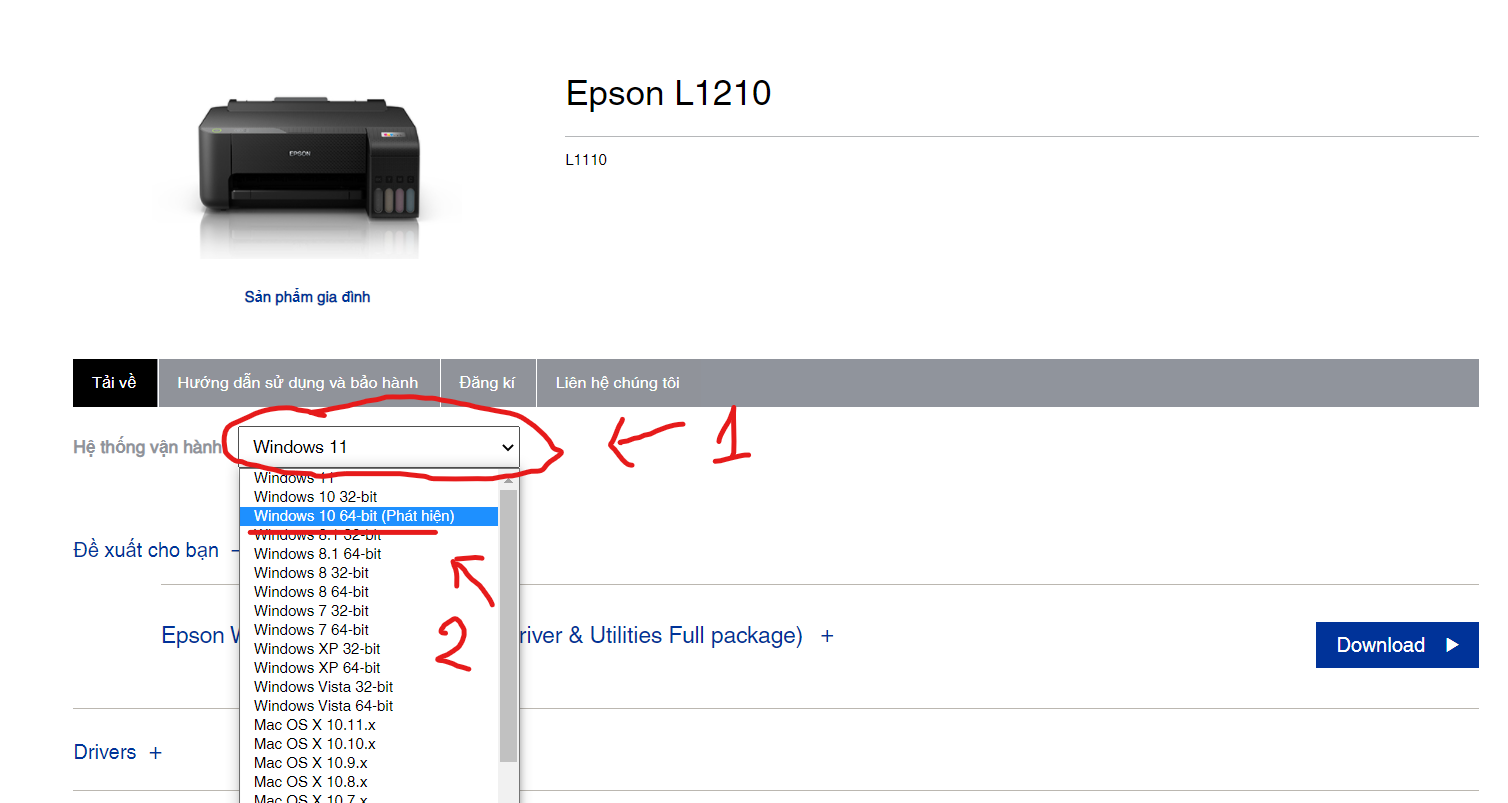 Hướng dẫn cài đặt máy in Epson L1210 đơn giản tại nhà,huong dan cai dat may in epson l1210 don gian tai nha Hướng dẫn cài đặt máy in Epson L1210 đơn giản tại nhà,huong dan cai dat may in epson l1210 don gian tai nha