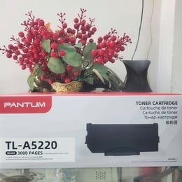 Mực in Pantum TLA-5220 