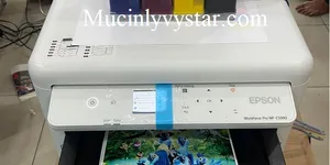 Hướng dẫn vệ sinh đầu phun Epson C5390 C5890