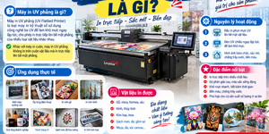 Máy In UV Phẳng Là Gì? Nguyên Lý Hoạt Động Và Ứng Dụng