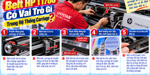 Belt HP T1708 Bị Lỗi Gì? Nguyên Nhân Và Cách Kiểm Tra