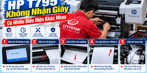 HP DesignJet T795 Không Nhận Giấy – Nguyên Nhân Và Cách Kiểm Tra