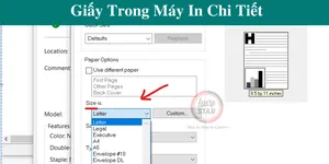 Hướng Dẫn Các Bước Chỉnh Sửa Khổ Giấy Trong Máy In Chi Tiết