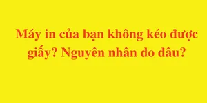 Máy in của bạn không kéo được giấy? Nguyên nhân do đâu?