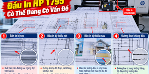 Đầu In HP T795 – Dấu Hiệu Nên Vệ Sinh Hay Thay Mới
