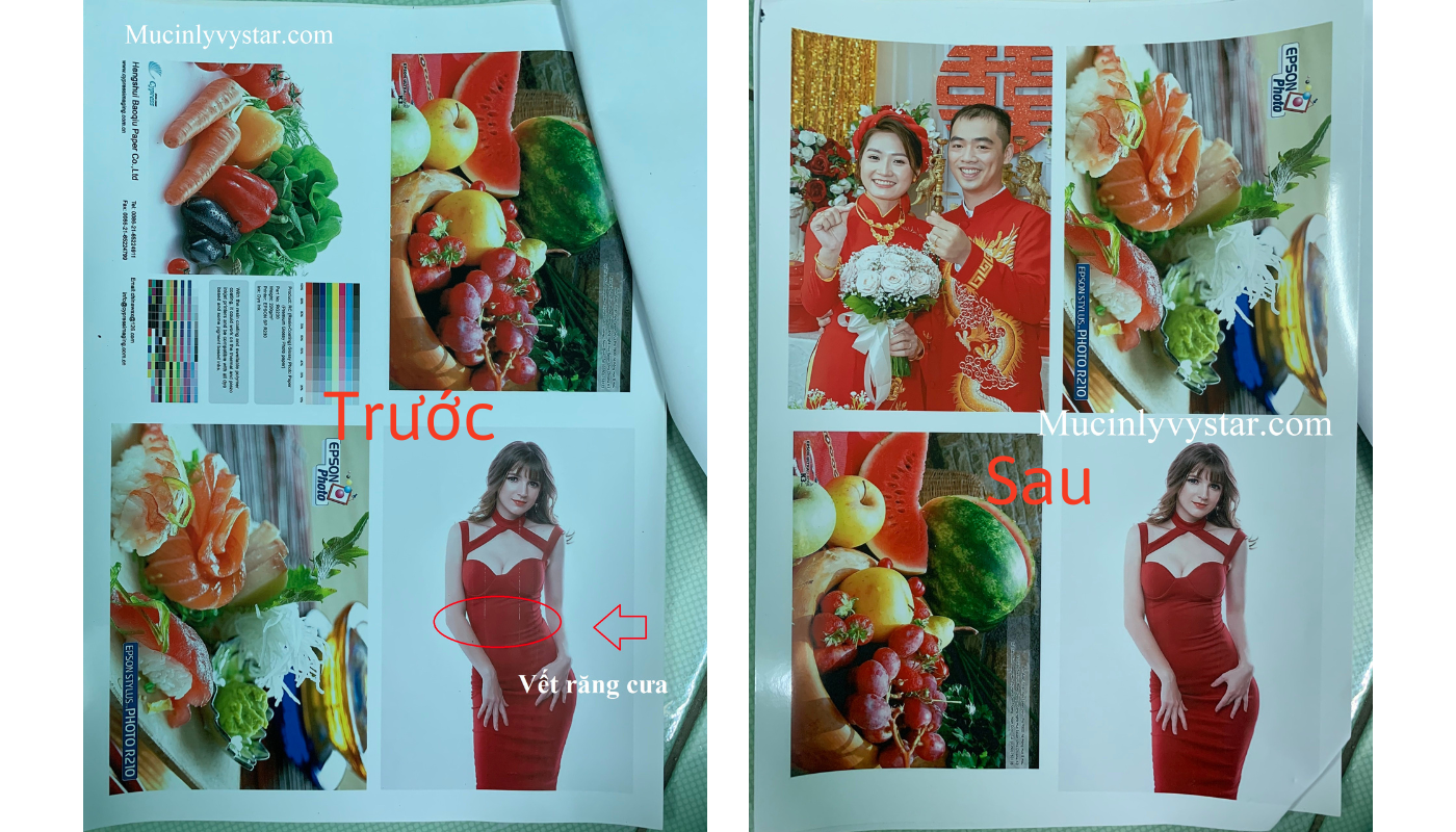 sửa chữa máy in Epson L8050 in bị ám xanh sửa chữa máy in Epson L8050 in bị ám xanh