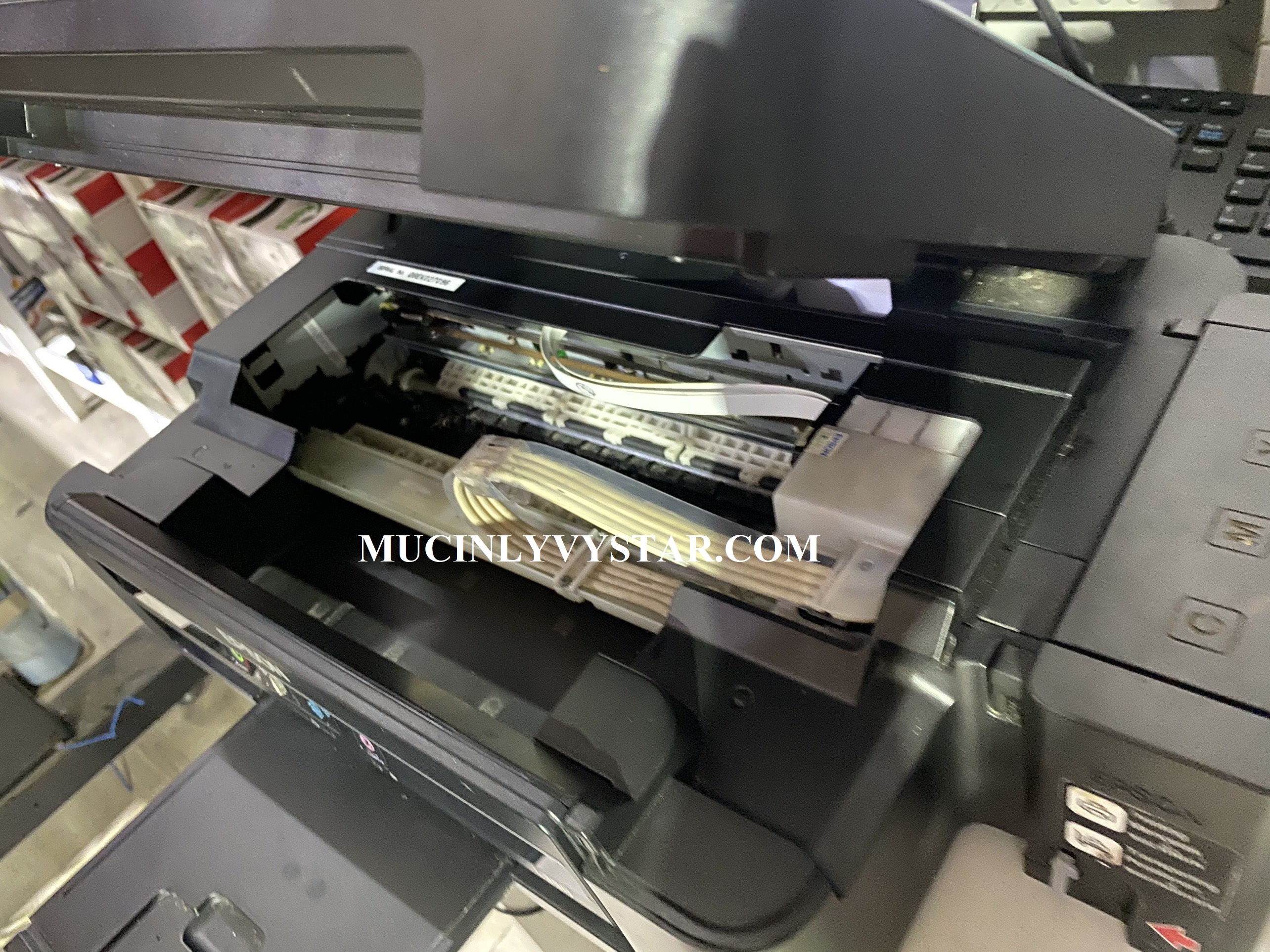 Sửa chữa máy in Epson L350 in ra giấy trắng,sua chua may in epson l350 in ra giay trang Sửa chữa máy in Epson L350 in ra giấy trắng,sua chua may in epson l350 in ra giay trang