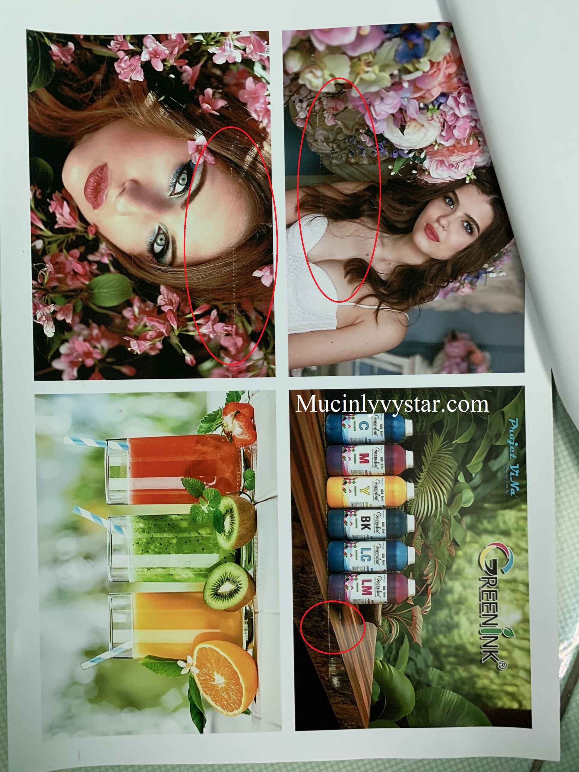 sửa chữa máy in Epson L8050 in bị ám xanh sửa chữa máy in Epson L8050 in bị ám xanh