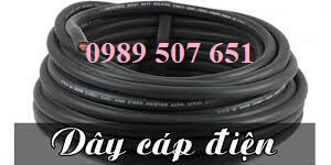 Cáp cao su cầu trục hiệu Hwasan